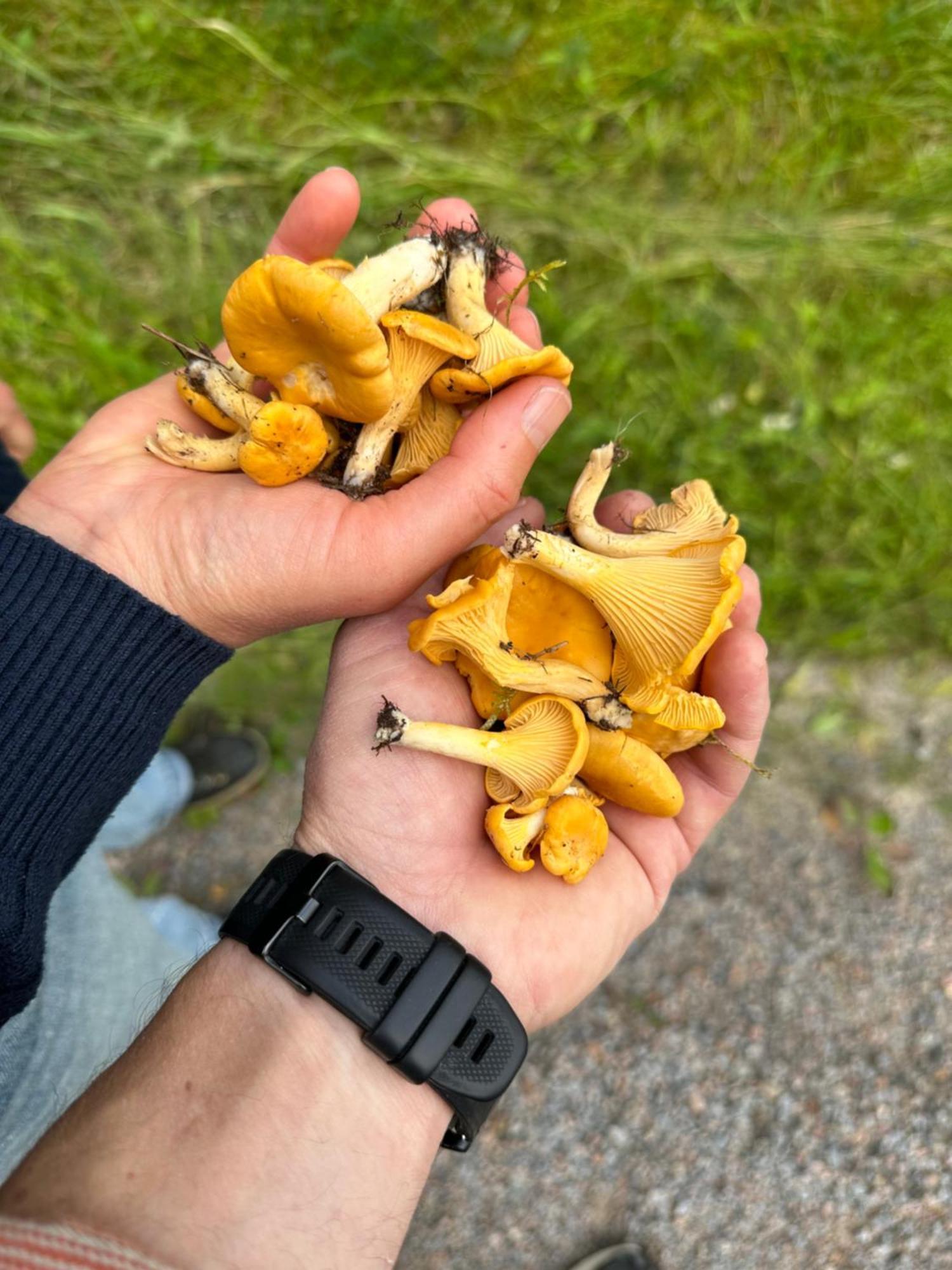 Hagbards By Gardspensionat Sloinge Kültér fotó